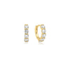 Ania Haie Gold Cubic Zirconia Hoop Earrings